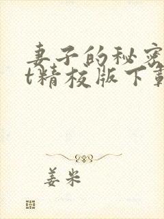 妻子的秘密txt精校版下载