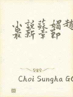 小说苏媚赵春城最新章节