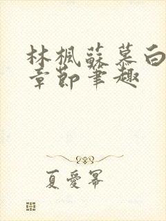 林枫苏慕白最新章节笔趣