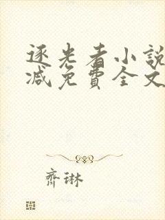 逐光者小说无删减免费全文阅读封面