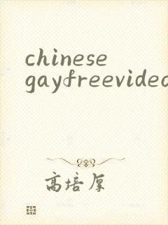 chinesegayfreevideoporn