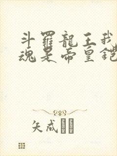 斗罗龙王我的武魂是帝皇铠甲