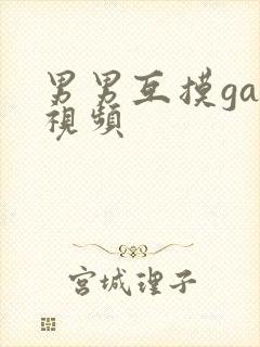 男男互摸gay视频