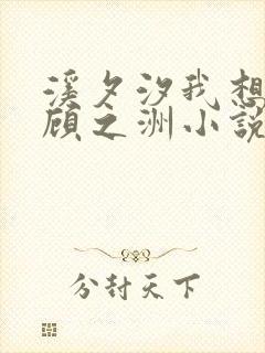 溪夕汐我想陶软顾之洲小说