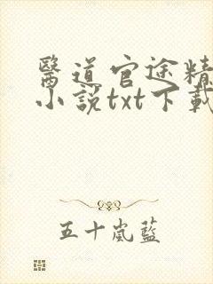 医道官途精校版小说txt下载