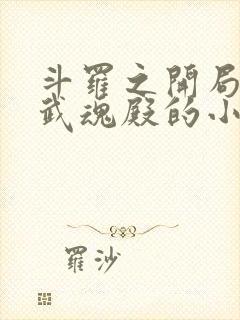 斗罗之开局加入武魂殿的小说