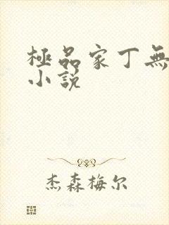 极品家丁无删减小说