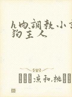 h肉调教小说母狗主人