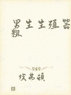 男生生殖器官多粗