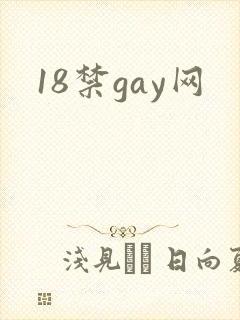 18禁gay网