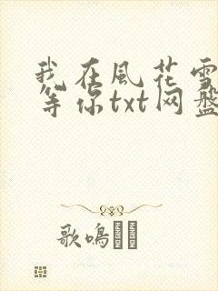 我在风花雪月里等你txt网盘