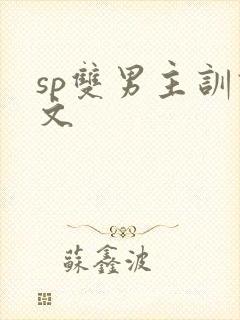 sp双男主训诫文封面