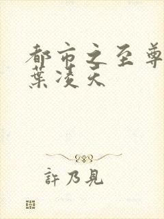 都市之至尊战神叶凌天