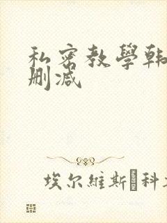 私密教学韩漫无删减