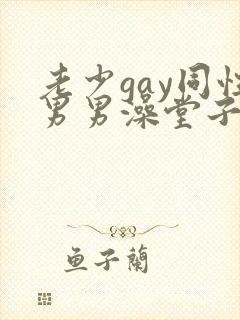 老少gay同性男男澡堂子