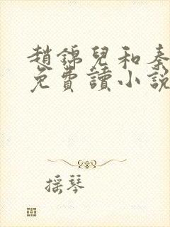 赵锦儿和秦慕修免费读小说封面