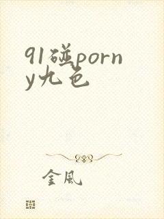 91碰porny九色