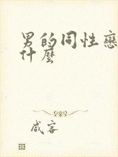 男的同性恋俗称什么