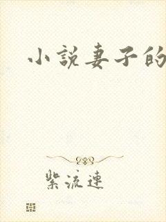 小说妻子的沉沦