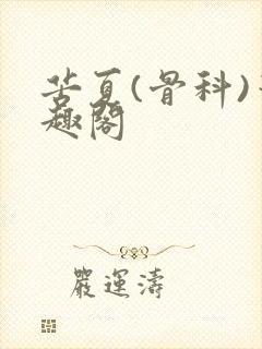 苦夏(骨科)笔趣阁