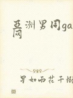 亚洲男同gay网