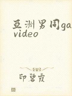 亚洲男同gay video
