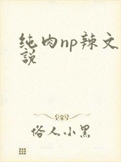 纯肉np辣文小说