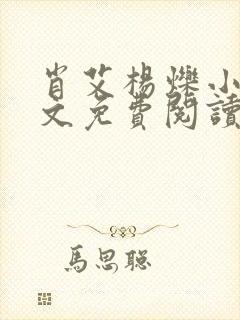 肖艾杨烁小说全文免费阅读笔趣阁