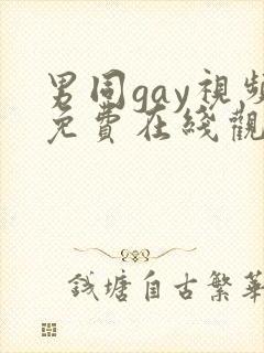 男同gay视频免费在线观看封面
