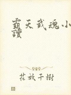 霸天武魂小说阅读