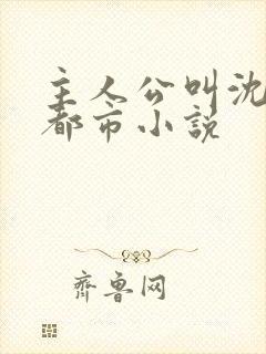 主人公叫沈淮的都市小说