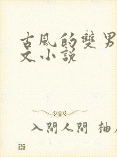 古风的双男主虐文小说