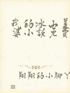 我的冰山美女老婆小说免费阅读