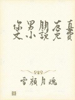 你男朋友真大全文小说免费阅读无弹窗笔趣阁封面