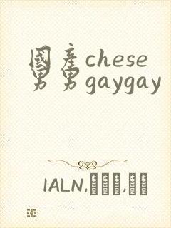 国产chese男男gaygay
