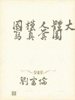 国模人体大尺度写真套图封面