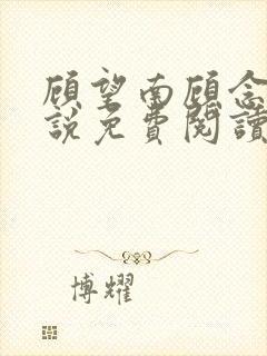 顾望南顾念北小说免费阅读最新章节