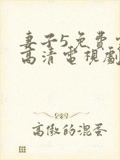 妻子5免费完整高清电视剧在线观看