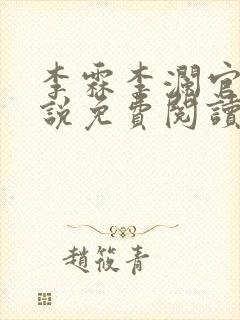 李霖李澜官场小说免费阅读封面