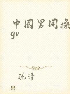 中国男同操亚洲gv封面