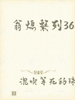 翁熄系列36章封面