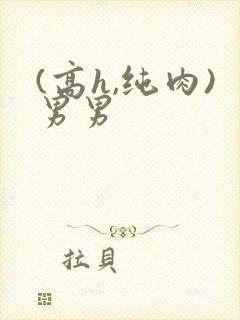 (高h,纯肉)男男