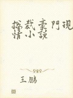 总裁豪门现代言情小说