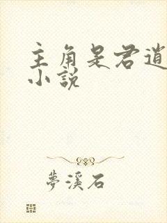 主角是君逍遥的小说封面