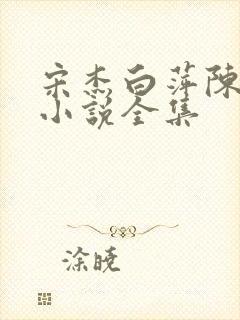 宋杰白萍陈大海小说全集封面