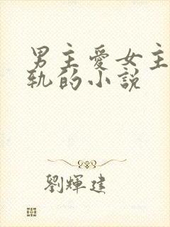 男主爱女主却出轨的小说