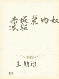 赤坂丽肉奴未删减版