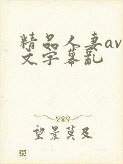 精品人妻av中文字幕乱封面