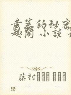 黄蓉的秘密 笔趣阁 小说 最新章节在线阅读