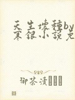 天生坏种by不寒银小说免费阅读笔趣阁封面